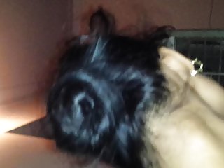 Permainan amerika dragon porno, india, dewasa wanita dan anak laki-laki porno