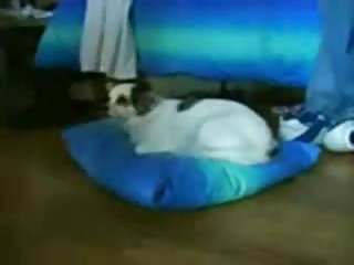 Anak-anak, seks bertiga, kursi, seks bertiga kursi terbaik kelompok porno